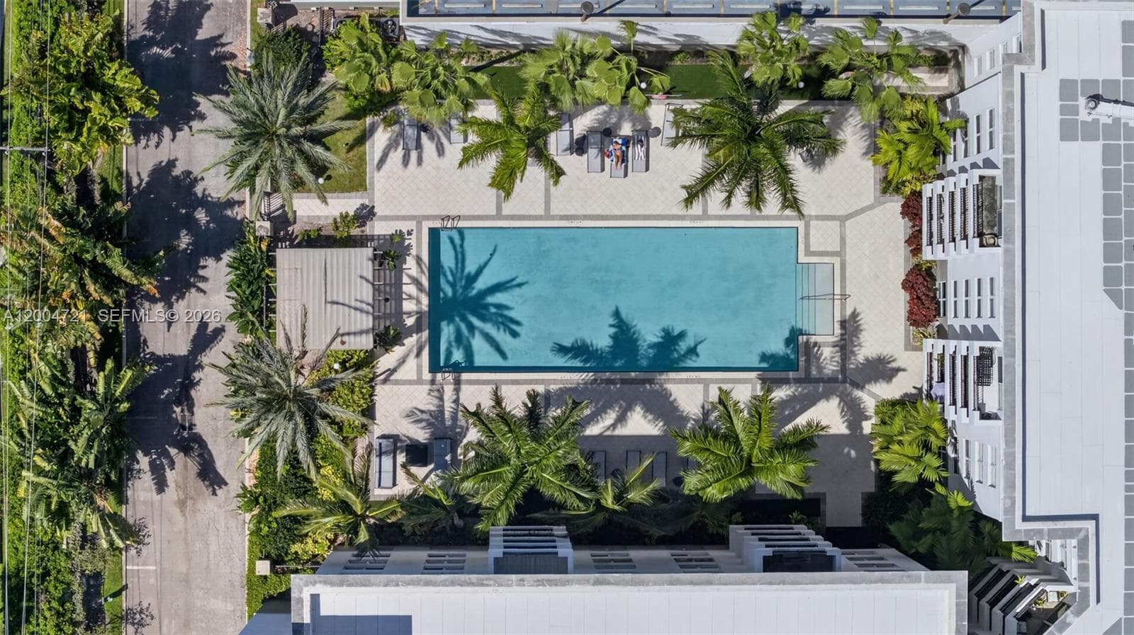 2401 NE 65th St # 205, Fort Lauderdale FL 33308 - Fort Lauderdale, FL - Photo 1